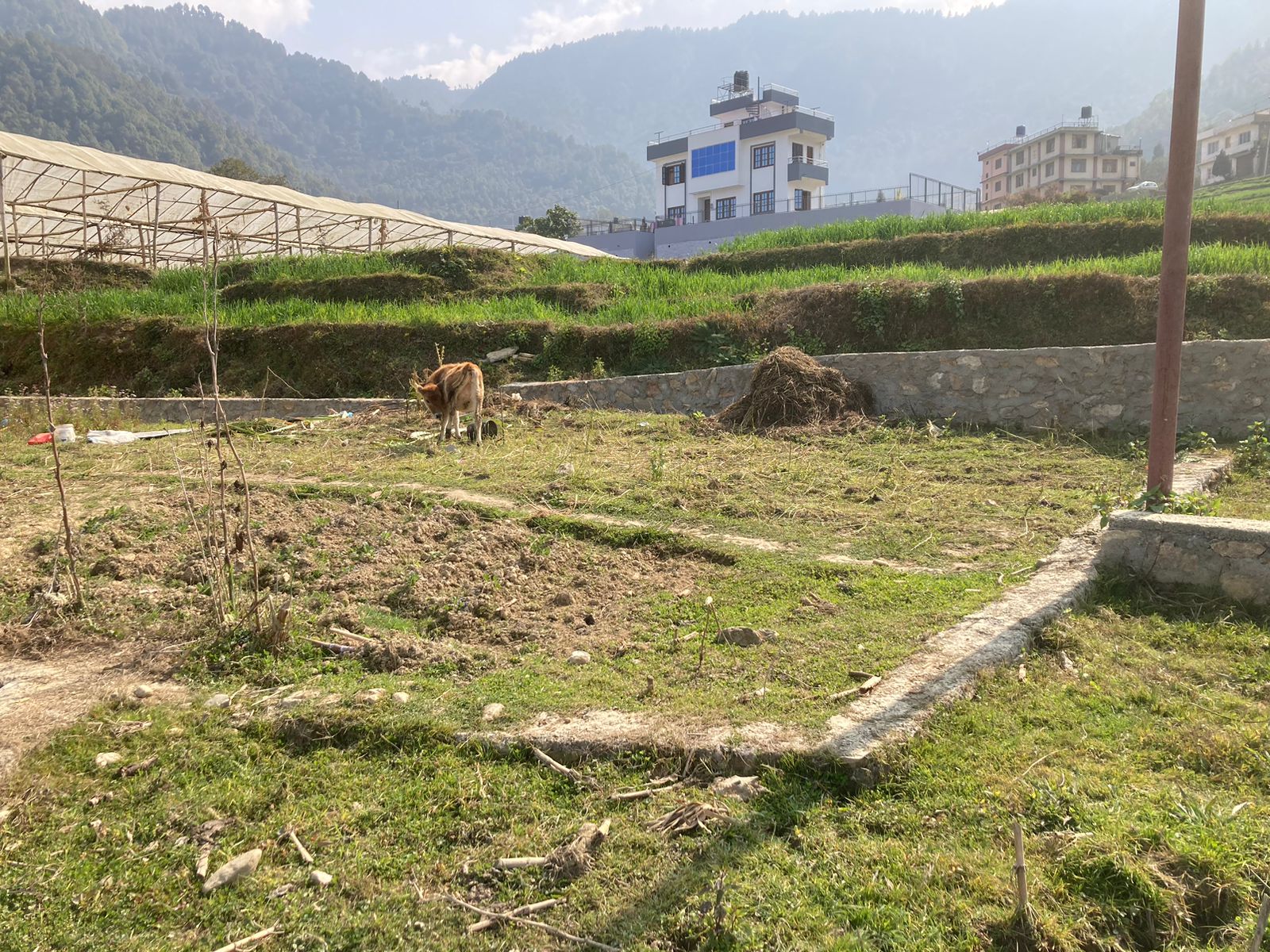 Picture of Mahalaxmi Municipality, Bagmati